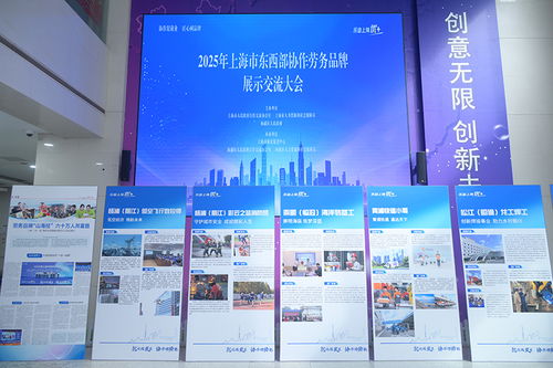 技能筑夢，品牌賦能——上海舉辦東西部協作勞務品牌展示活動聚焦信息技術咨詢服務